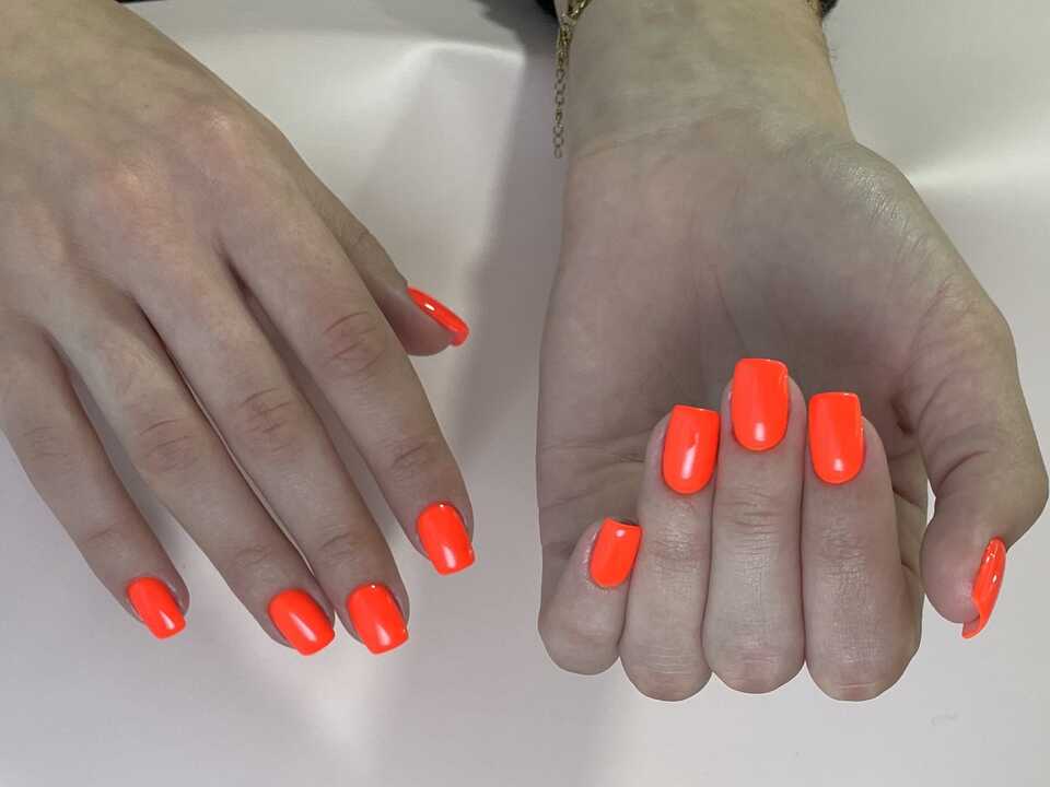 Trabajo presentado al concurso