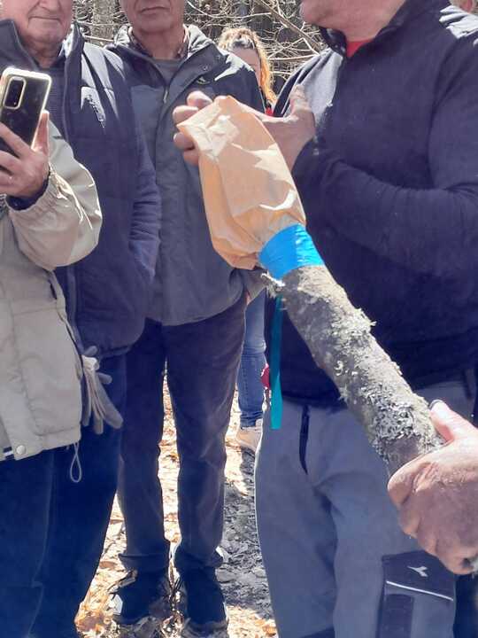 Castañicultura Aliste(3)