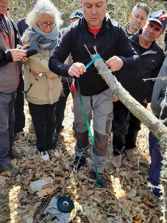 Castañicultura Aliste