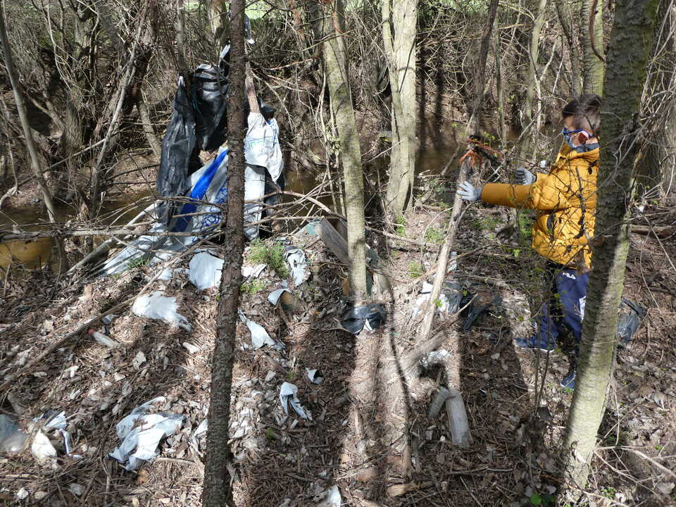 Actividades de Educación Ambiental CRIOSANABRIA primavera 2026 (3)