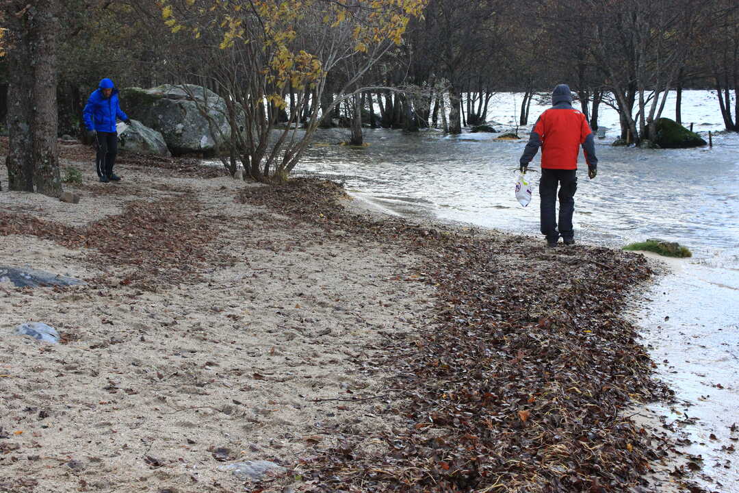 Actividades de Educación Ambiental CRIOSANABRIA primavera 2026 (2)