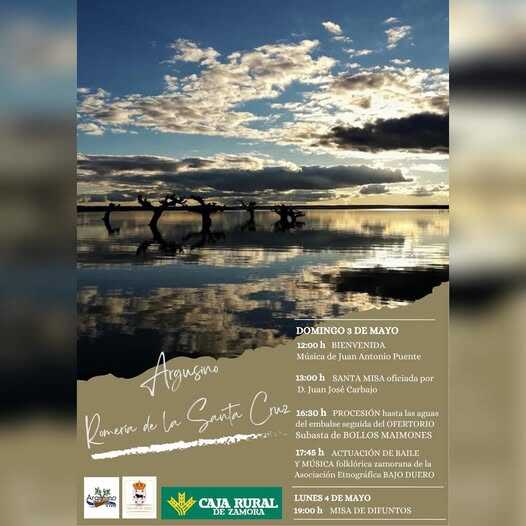 CArtel de axctividades