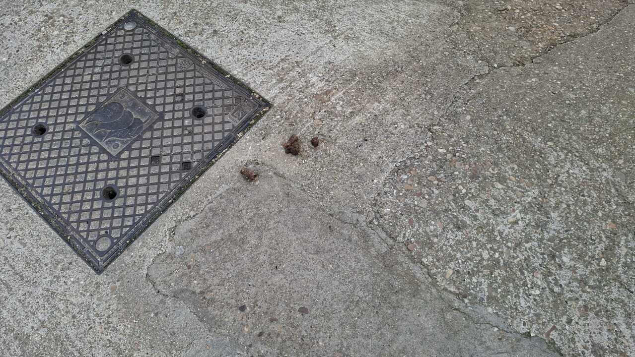 Caca de perro en otra calle de la ciudad