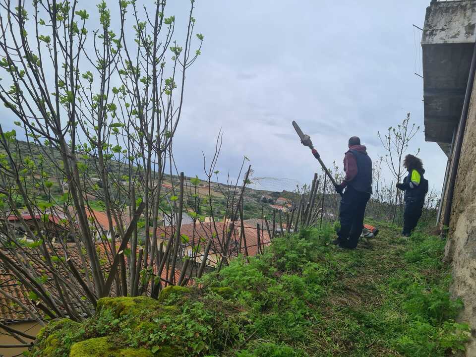 Programa de empleo y formación Fermoselle(3)