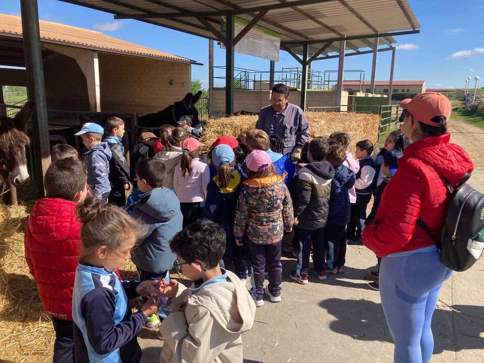Alumnos Colegio Sagrado  Corazón de Jesús visitan una finca en Madridanos _2