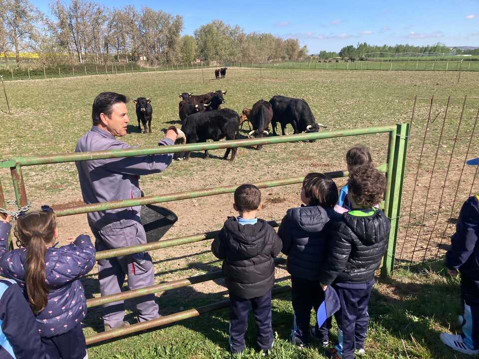 Alumnos Colegio Sagrado  Corazón de Jesús visitan una finca en Madridanos _3
