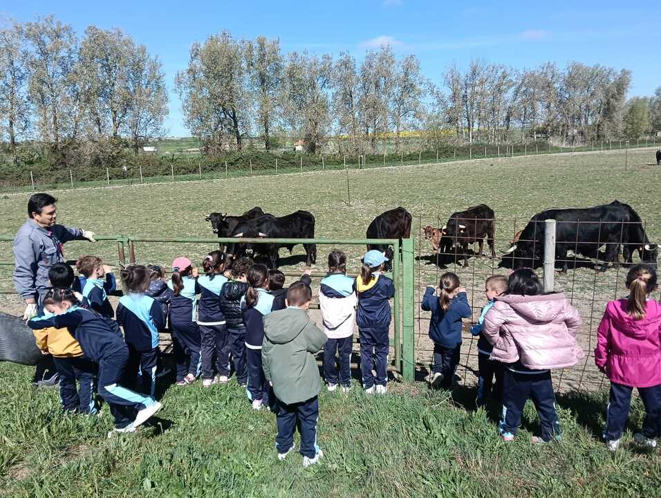 Alumnos Colegio Sagrado  Corazón de Jesús visitan una finca en Madridanos _4