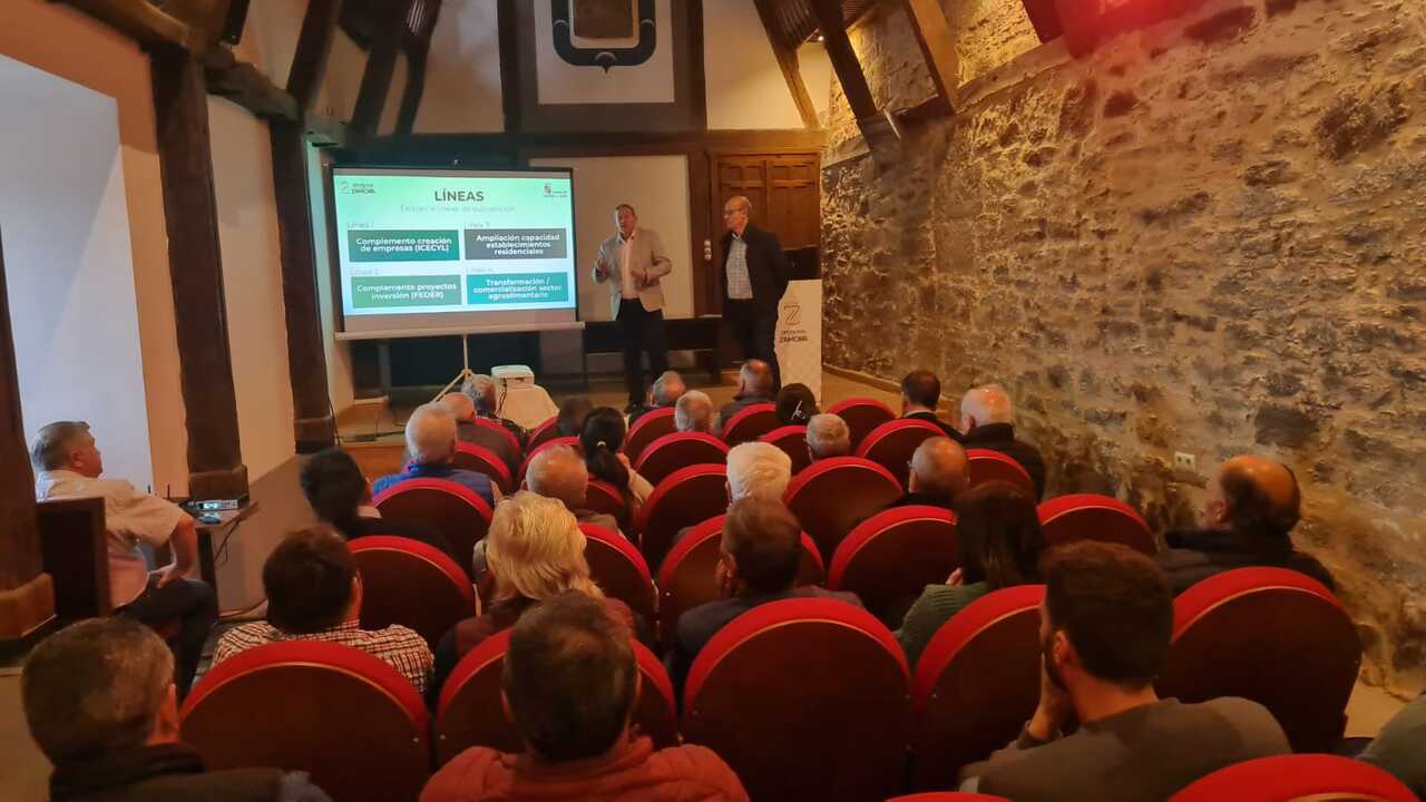 Subvenciones apoyo empresas La Raya - Diputación de Zamora  (2)