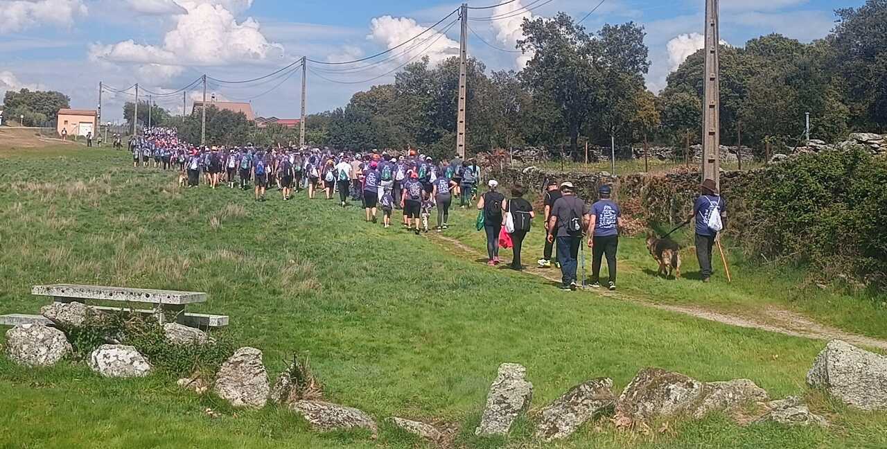 Participantes en la caminata