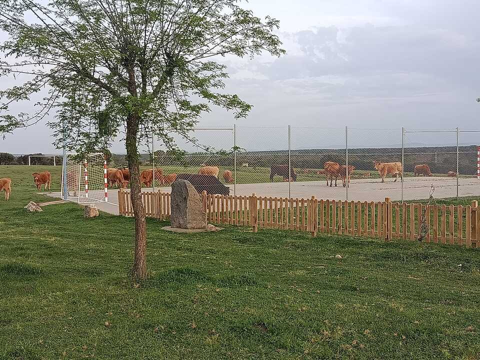 Ganadería en Villaverde