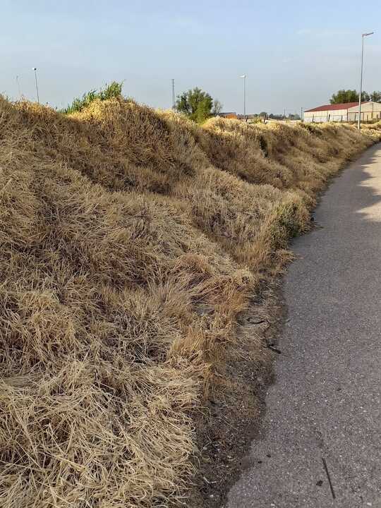Zona tratada con herbicidas en Fuentesaúco