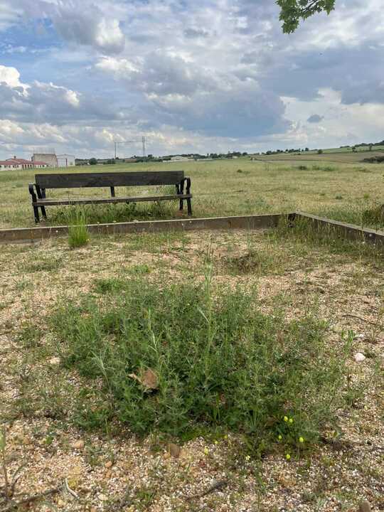 Vecinos de Carrascal denuncian el abandono del parque infantil y la pista deportiva (1)