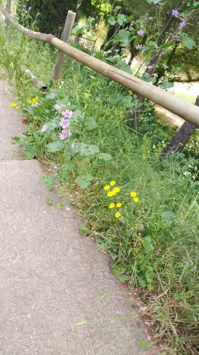 Estado del parque Consejo de Europa