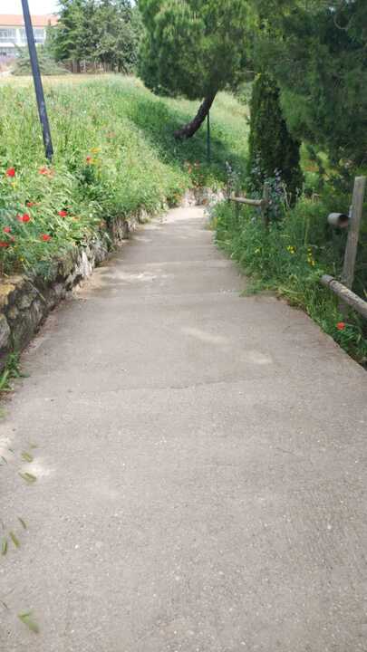 Cardos sobrepasan el paso en el Parque Consejo de Europa