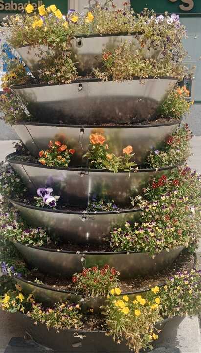 Jardineras Zamora Flores arrancadas