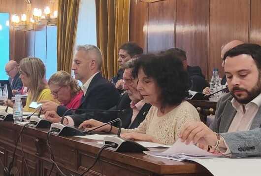 Laura Rivera durante el Pleno