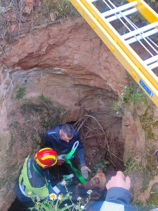 Rescate de un perro en Moraleja del Vino