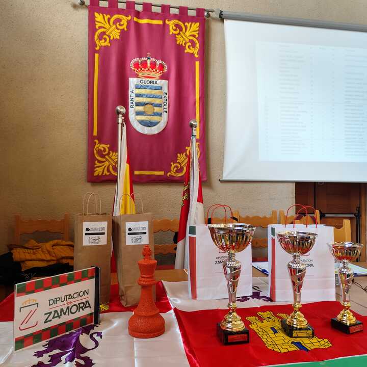 Torneo provincial de Ajedrez premios 