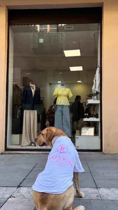 El perro anuncia la marca de Santa Rita