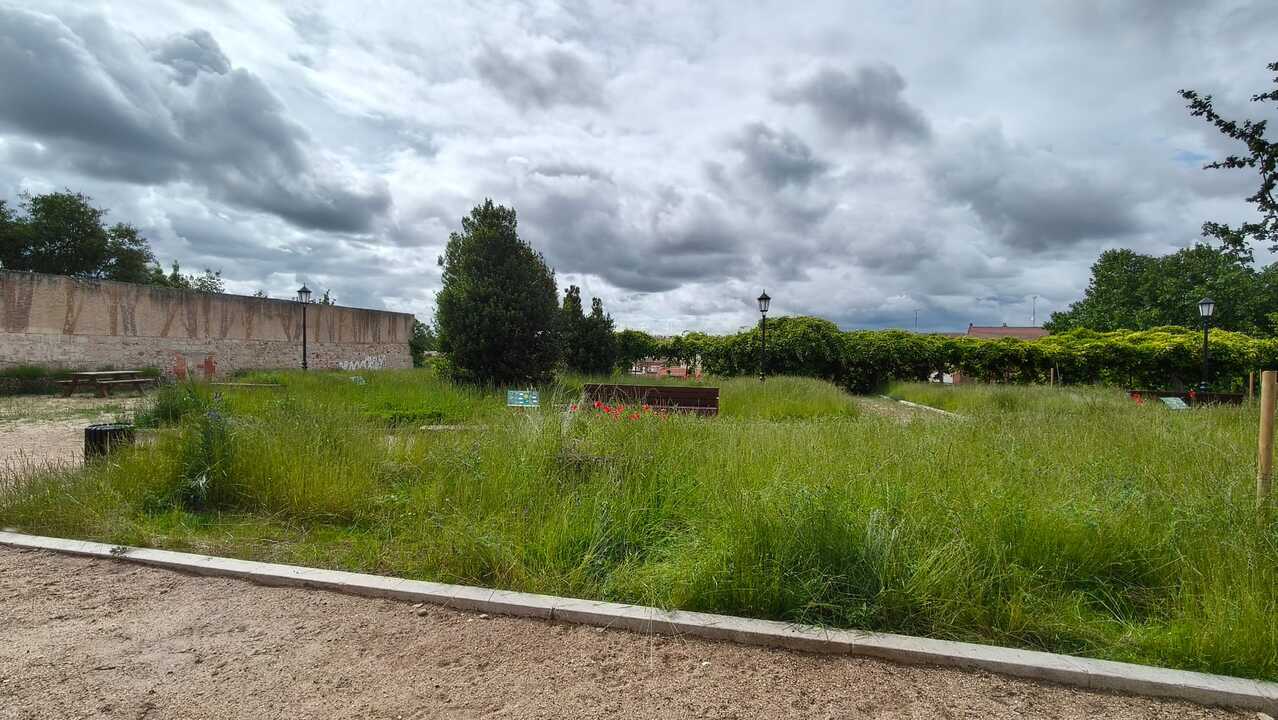 Parque san Bernabé