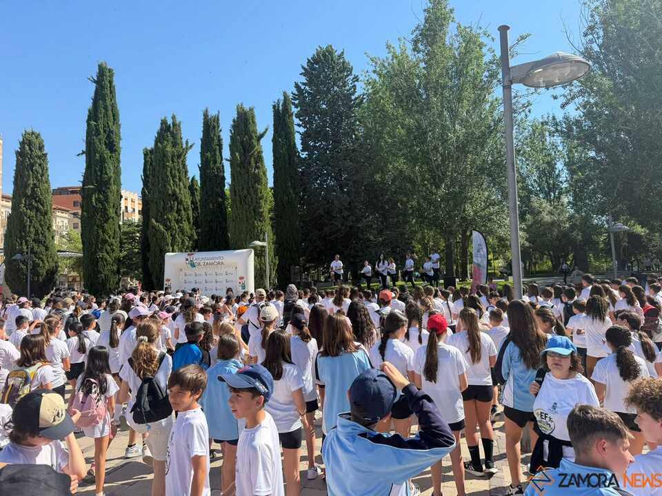 Educación física