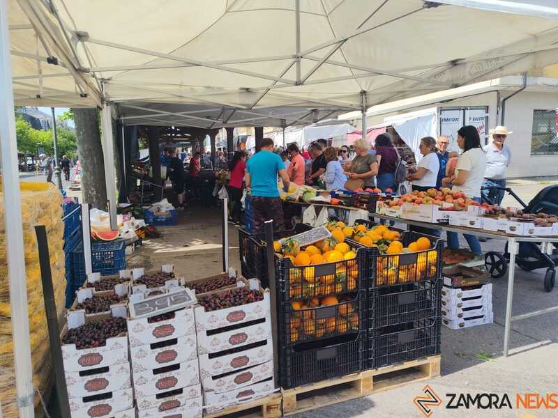 mercado de El Puente _4