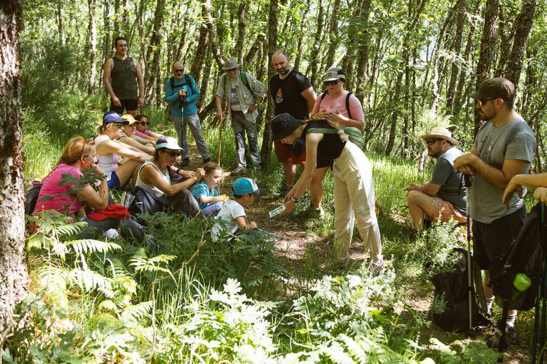 Participantes durante la ruta interpretativa celebrada en el Tejedelo, guiada por la bióloga Carla Benito Zamarro, dentro de las actividades del proyecto “Del Tejedelo al Cielo”, impulsado por el Ayuntamiento de Requejo y financiado por el Ministerio para la Transición Ecológica y el Reto Demográfico (MITECO).

Fotografía: © Nico Rodríguez