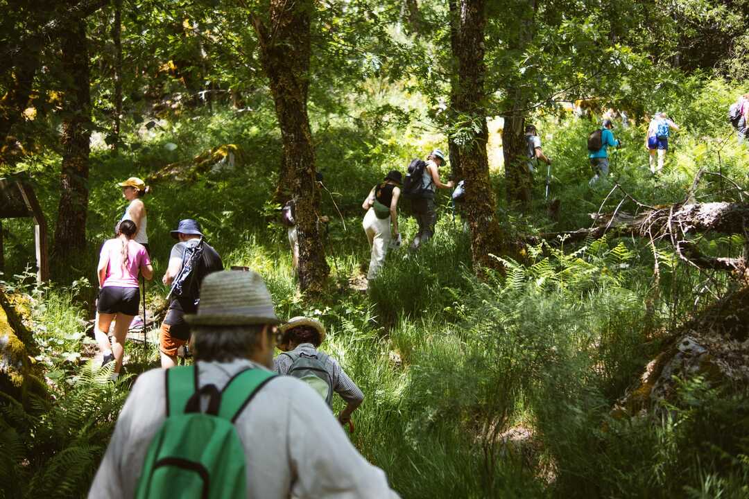 Participantes durante la ruta interpretativa celebrada en el Tejedelo, guiada por la bióloga Carla Benito Zamarro, dentro de las actividades del proyecto “Del Tejedelo al Cielo”, impulsado por el Ayuntamiento de Requejo y financiado por el Ministerio para la Transición Ecológica y el Reto Demográfico (MITECO).

Fotografía: © Nico Rodríguez