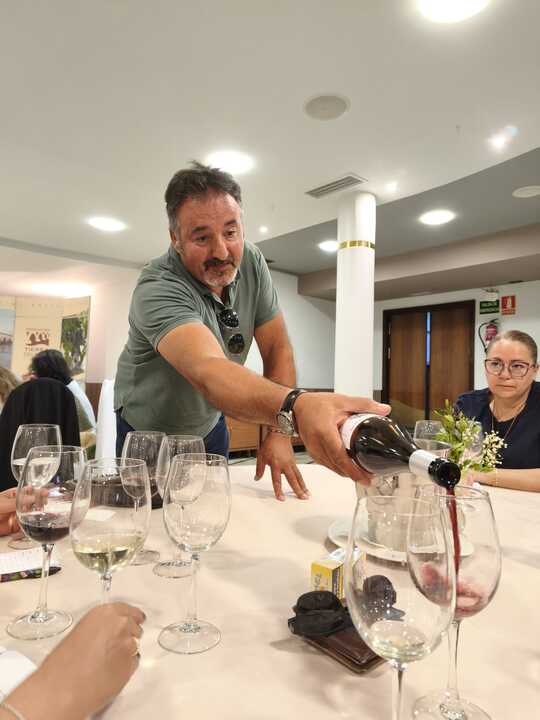 vino8