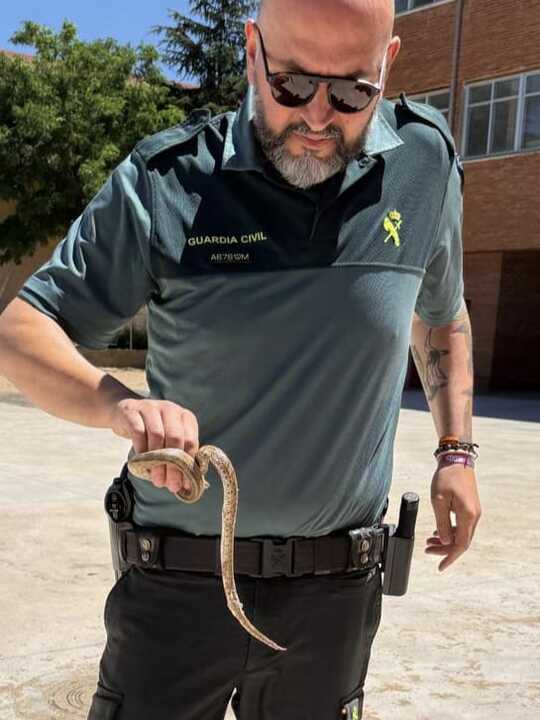 Guardia y Culebra
