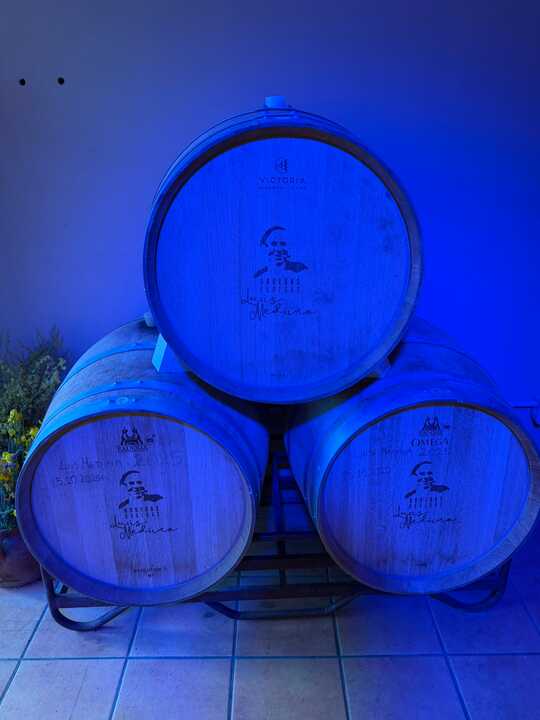 bodega rafa2