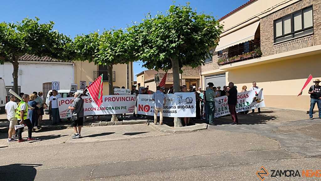 concentración Zamora en Pie en el día de la provincia _2