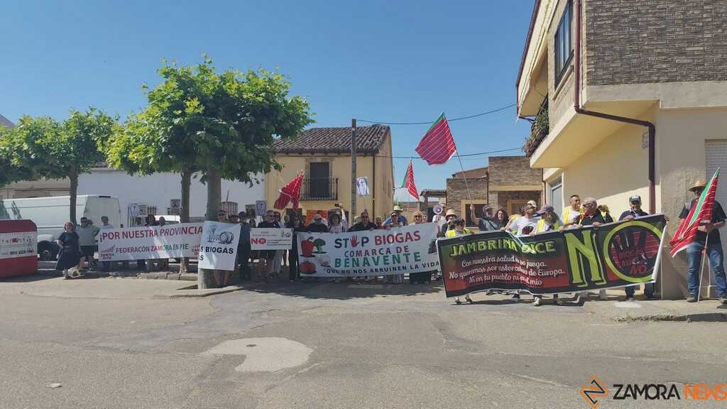 concentración Zamora en Pie en el día de la provincia _6