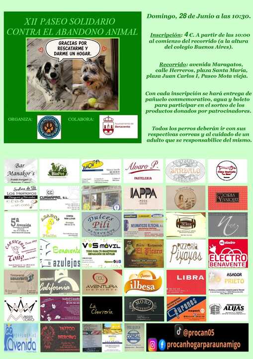 XII Paseo solidario contra el abandono  animal Benavente cartel