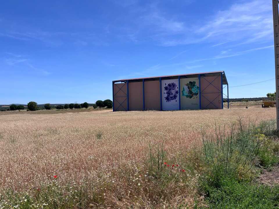 mural de Gela Ramos en Santibáñez de Tera (4)