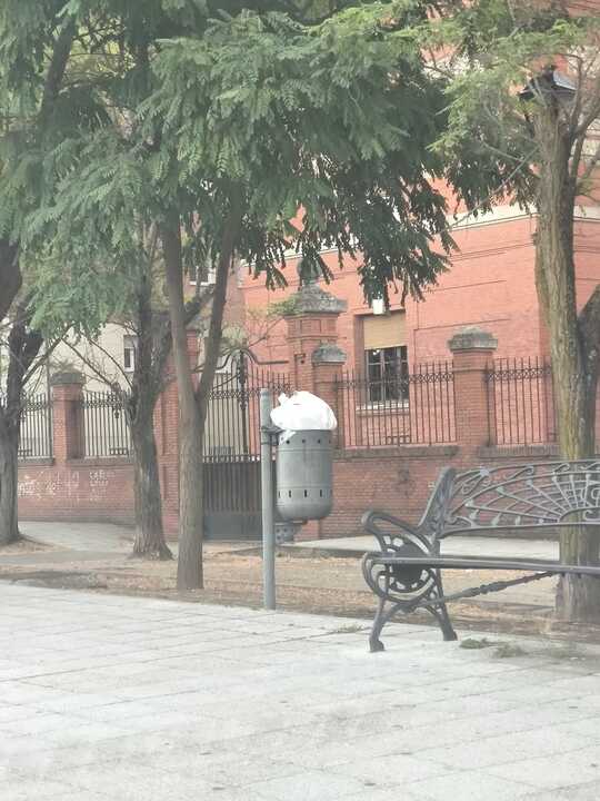 contenedores Toro (1)