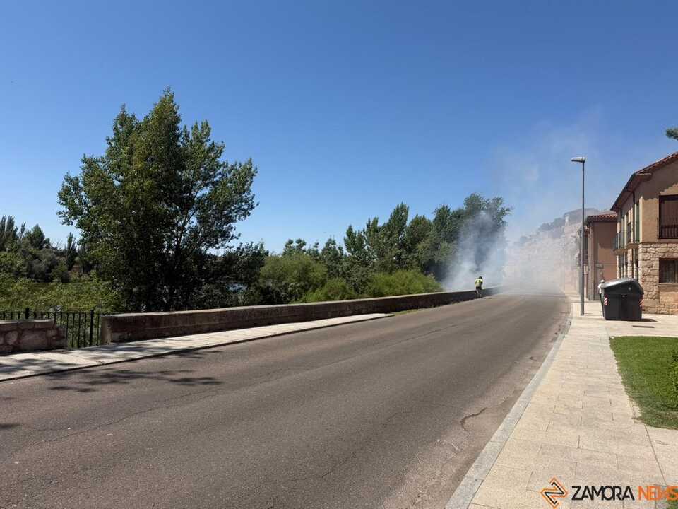 Incendio Zamora  _4