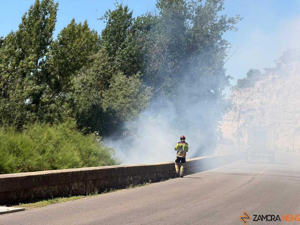 Incendio Zamora  