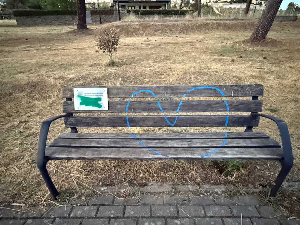 actos vandálicos en Puebla de Sanabria  (3)