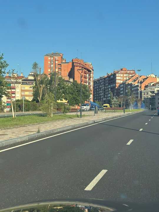 Accidente Zamora _3