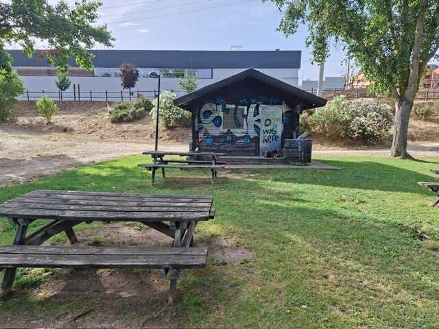Estado de abandono de los Tres Arboles en Zamora(3)