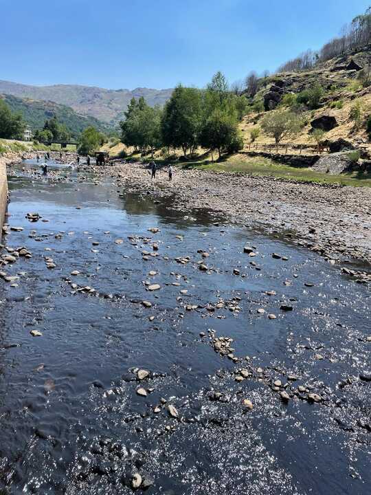 toneladas de ceniza acumuladas en la piscina fluvial de Porto de Sanabria  (2)