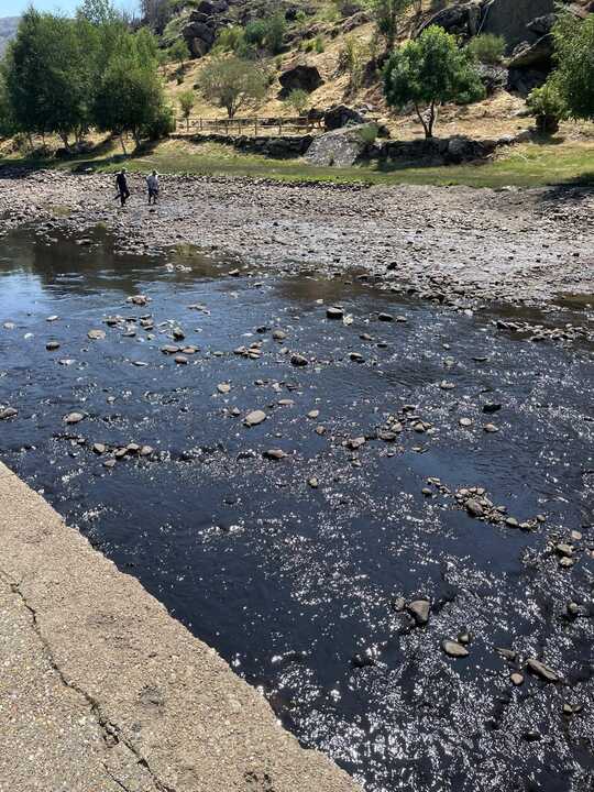 toneladas de ceniza acumuladas en la piscina fluvial de Porto de Sanabria  (8)
