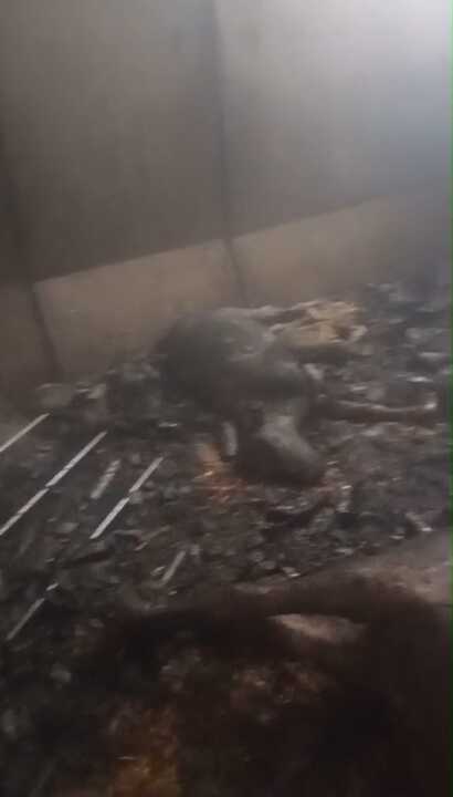 incendio nave en Cerecinos de Campos  (1)