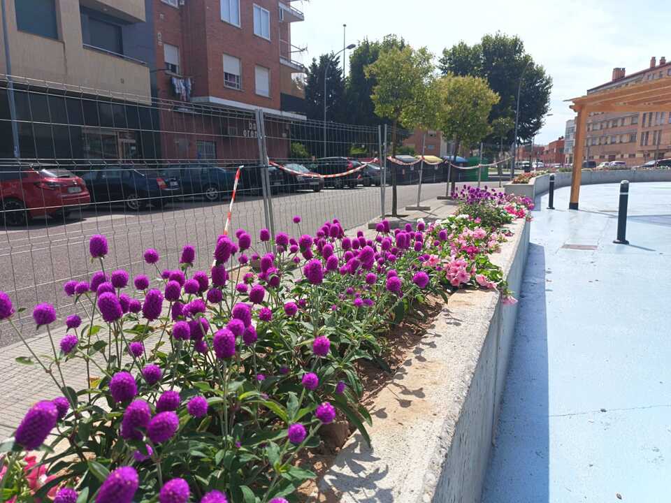 Plaza de las Canteras del Raposo Renovación Pinilla _6