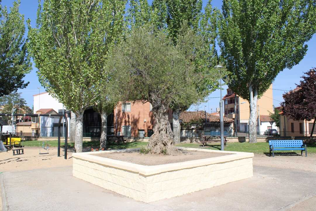 Plaza de Canteras del Raposo en Pinilla1