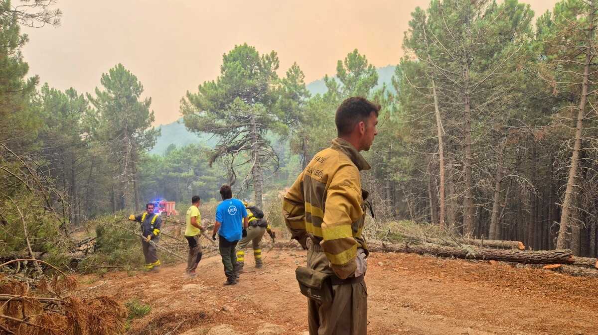 Trabajos contra el fuego en el Alto Tiétar.