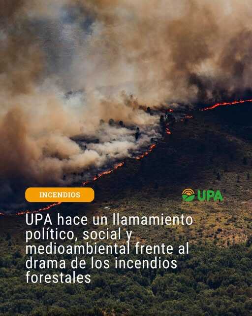 UPA