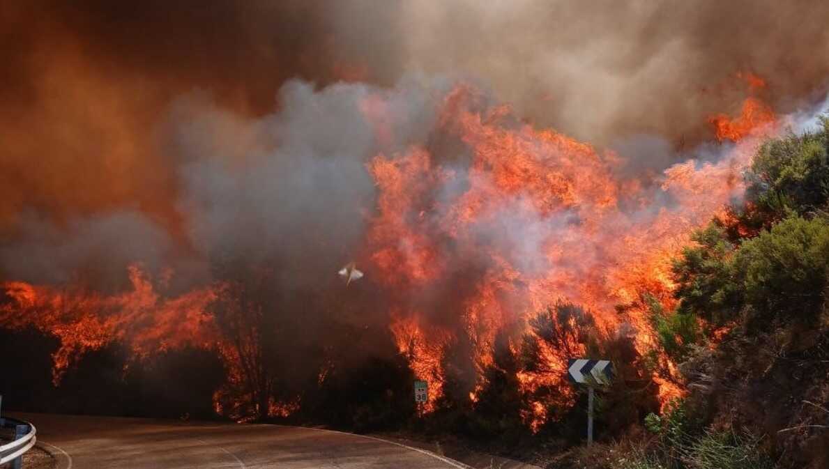Incendio León La Utrera_2