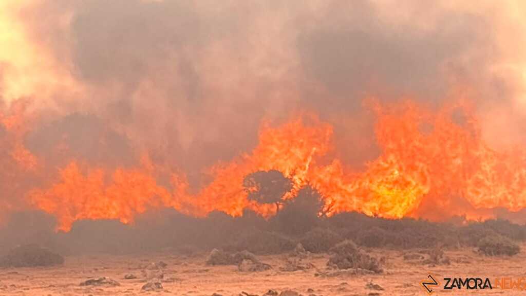 incendio Fermoselle _9